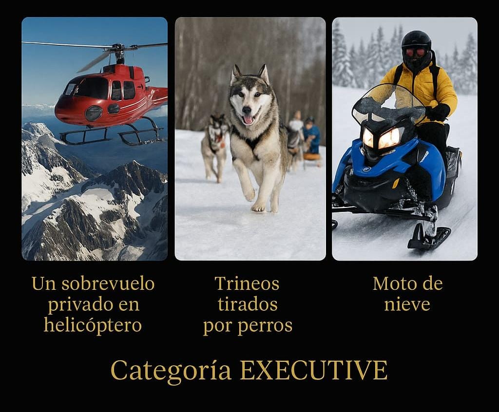 Experiencias ejecutivas Hosting Patagonia: sobrevuelo privado en helicóptero, trineos tirados por perros, moto de nieve — Categoría Executive